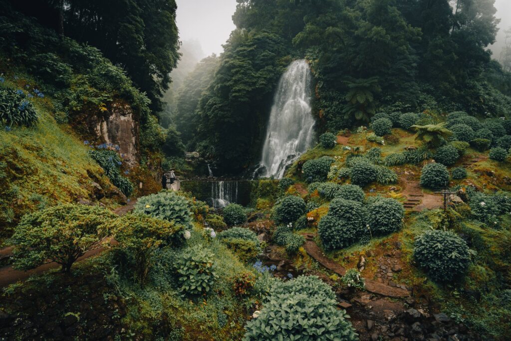 Hiking trail in São Miguel surrounded by lush vegetation and natural scenery.