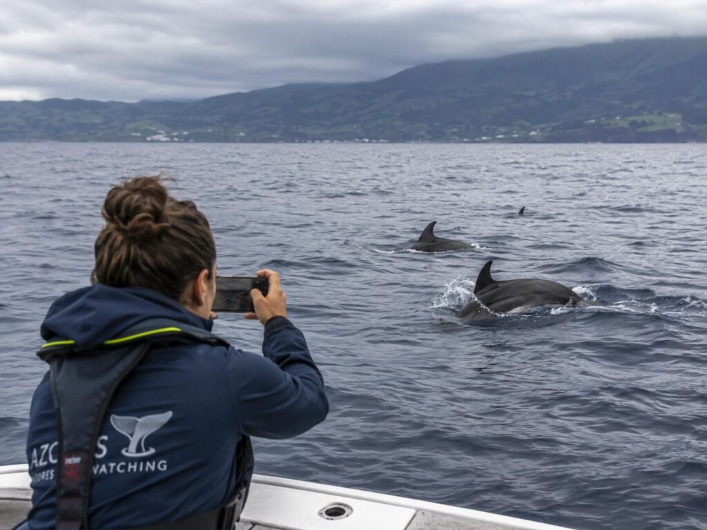 Visitantes numa embarcação durante uma experiência de observação de cetáceos no oceano ao largo de São Miguel.